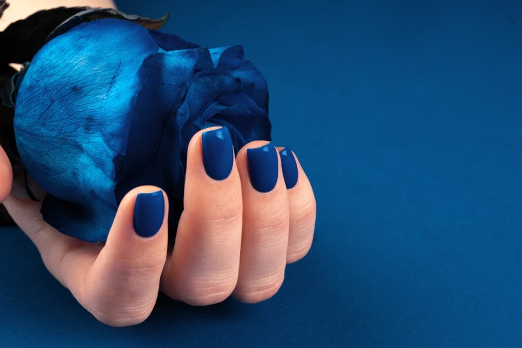 Main avec des vernis à ongle bleu tenant une rose bleue